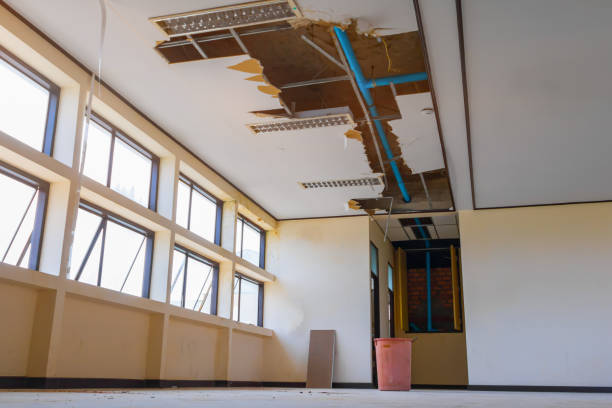 Best Mold removal after water damage  in Brockway, PA