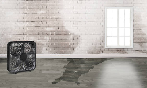 Best Water damage restoration near me  in Brockway, PA