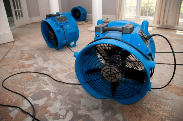 Best Carpet water damage restoration  in Brockway, PA