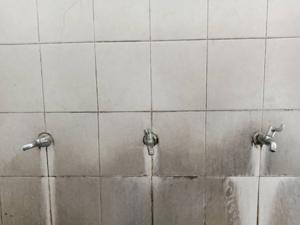 Best Carpet water damage restoration  in Brockway, PA