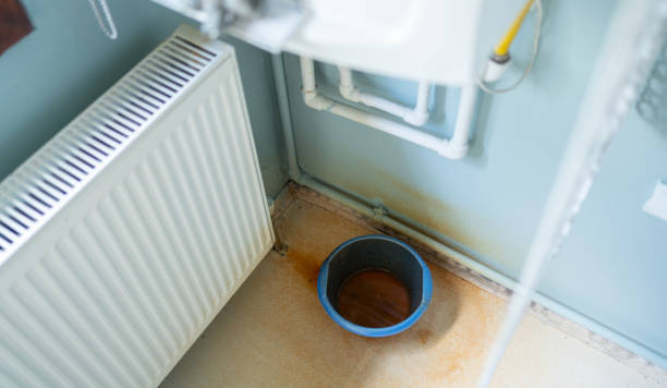 Best Water damage mitigation services  in Brockway, PA