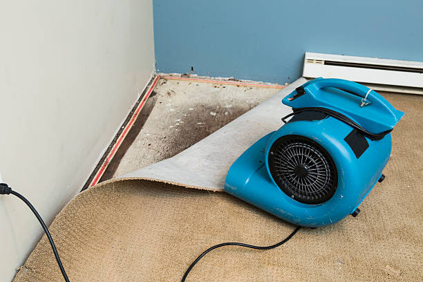 Best Local water damage restoration  in Brockway, PA