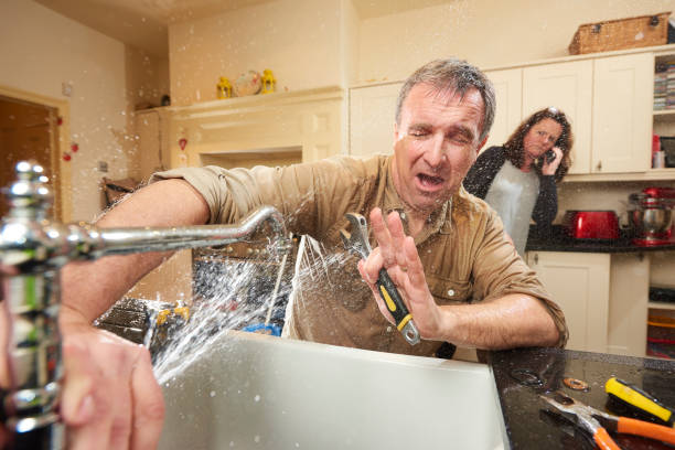 Best Mold removal after water damage  in Brockway, PA